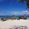 Sea Star phi phi Sea Star phi phi