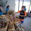seastar breakfast snacks seastar breakfast snacks