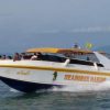 Speed boat sea horse Speed boat sea horse