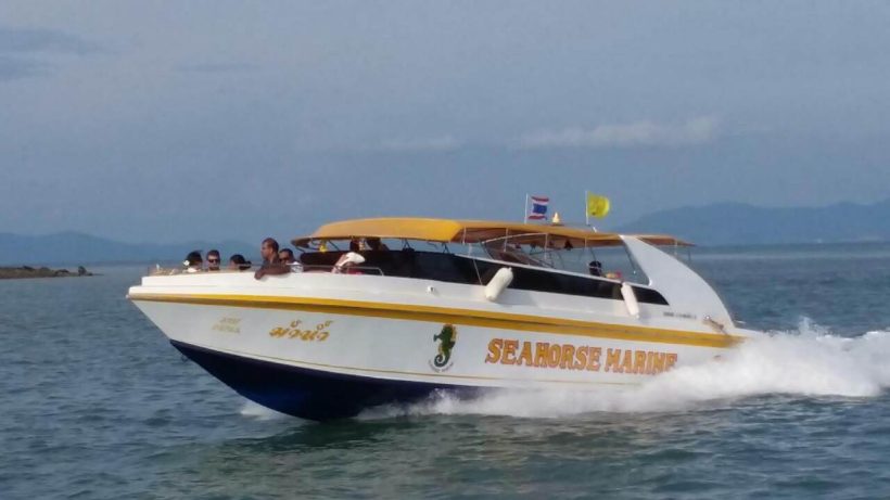 Speed boat sea horse Speed boat sea horse