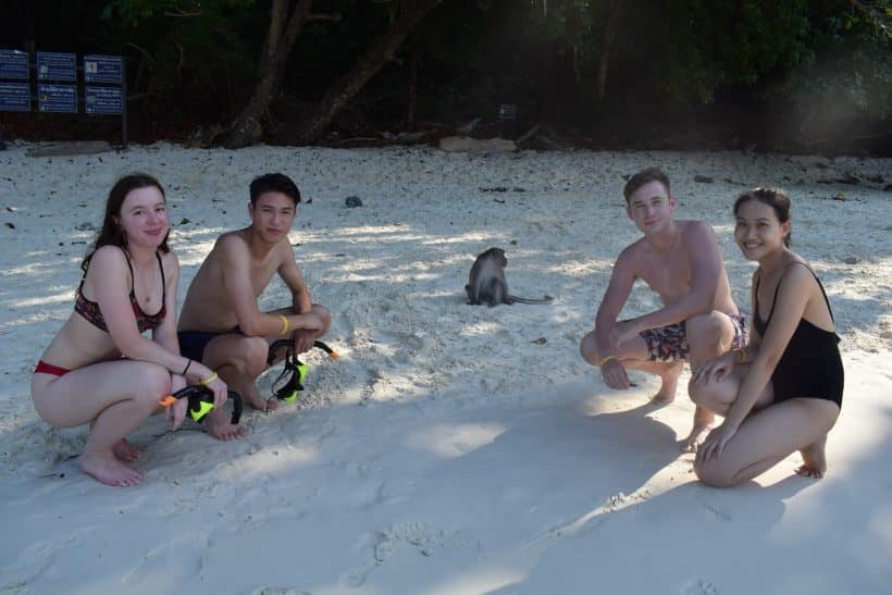 monkey bay monkey bay