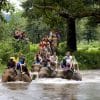 Elephant trekking tourism destinations Elephant trekking
