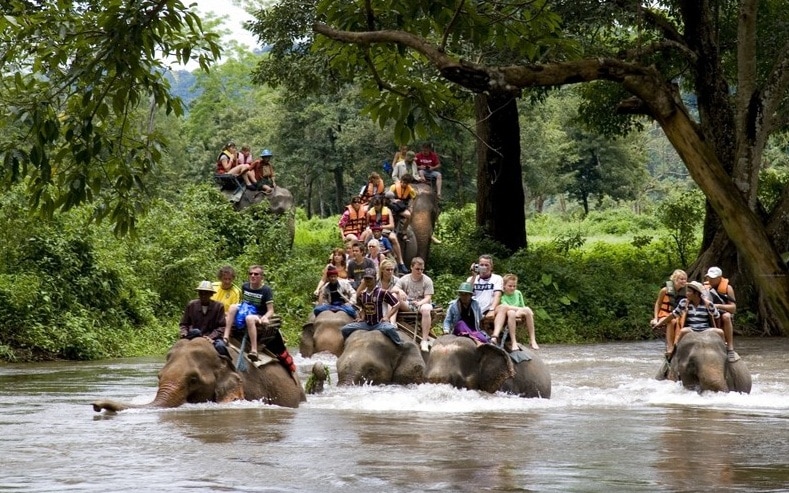 Elephant trekking tourism destinations Elephant trekking