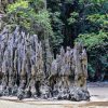 at panak Island at panak Island