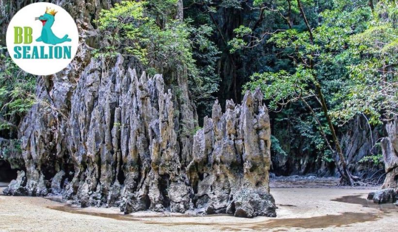 at panak Island at panak Island