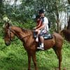 Horse Riding Phuket