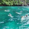 Early Bird Maya Bay & Paradise Island