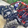 Buggy Phuket