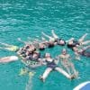 Early Bird Maya Bay & Paradise Island
