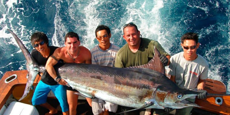 Phuket Islands Fishing Tours