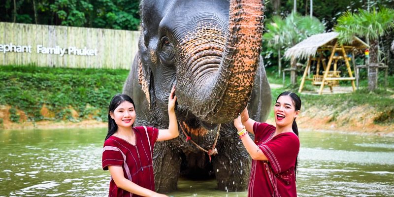 happy elephant showing his trunk