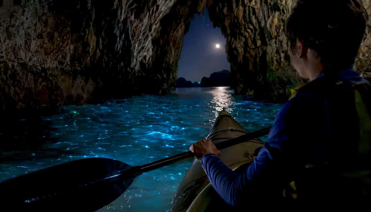 Kayaker paddling in moonlit bioluminescent cave