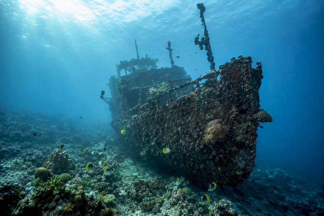 King Cruiser wreck with fish and coral underwater
