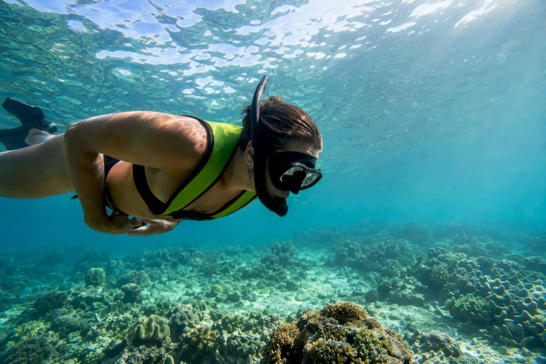 Snorkeller wearing an adjustable buoyancy vest
