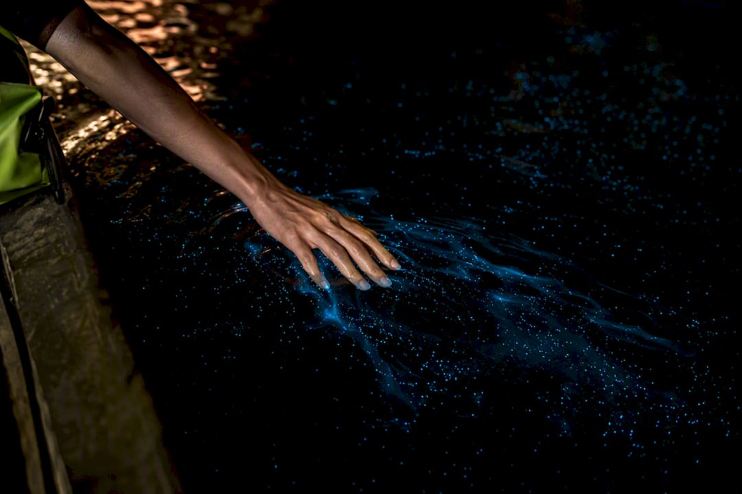 Hand stirring bioluminescent Phang Nga lagoon water