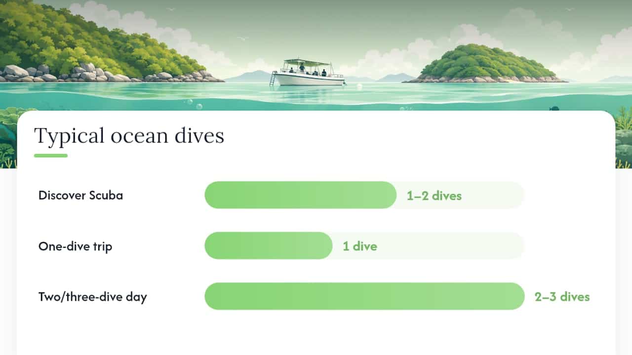 Beginner options in Phuket: try dives, day trips and certification paths — overview diagram