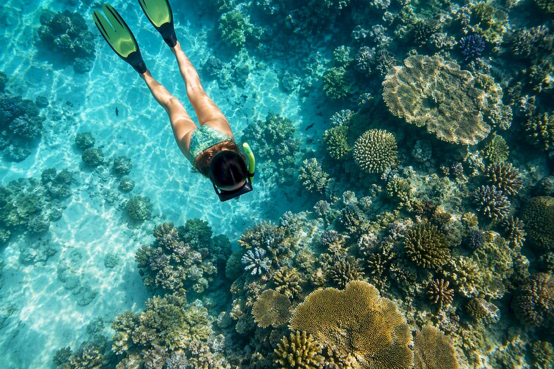Snorkeller hovering above coral reef
