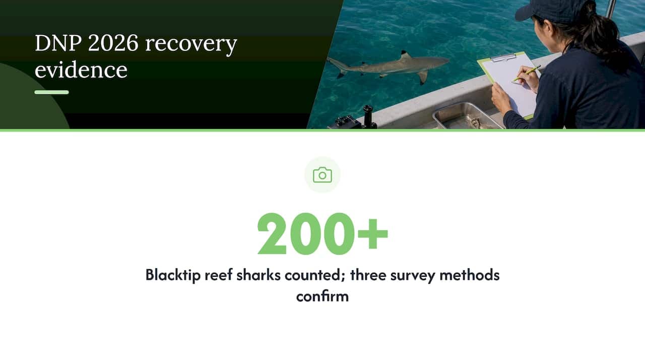 DNP survey evidence of Maya Bay recovery