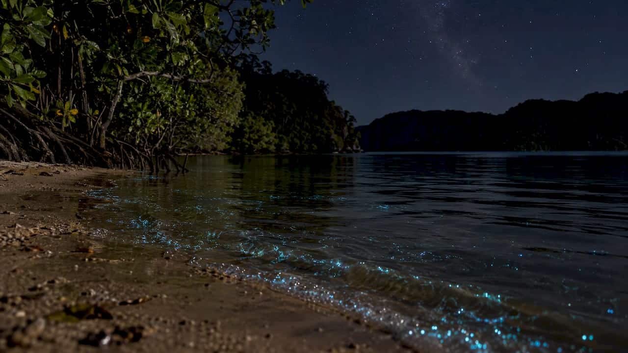 Subtle plankton glow in a sheltered Phuket bay